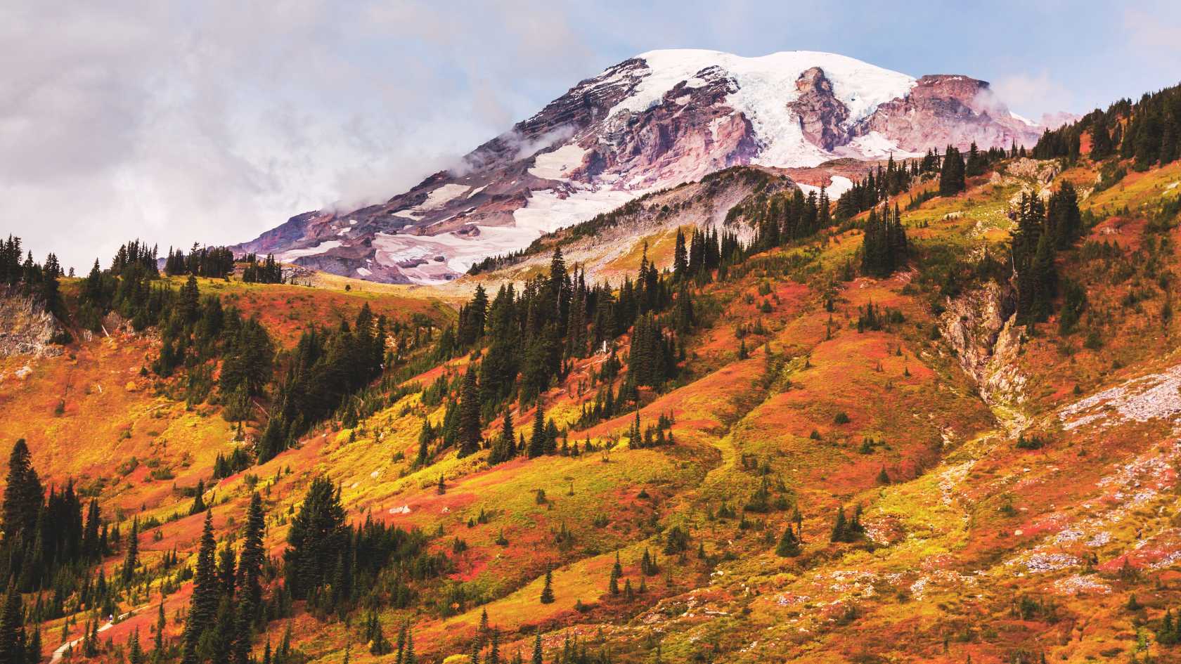 Fall color along the Cowlitz River