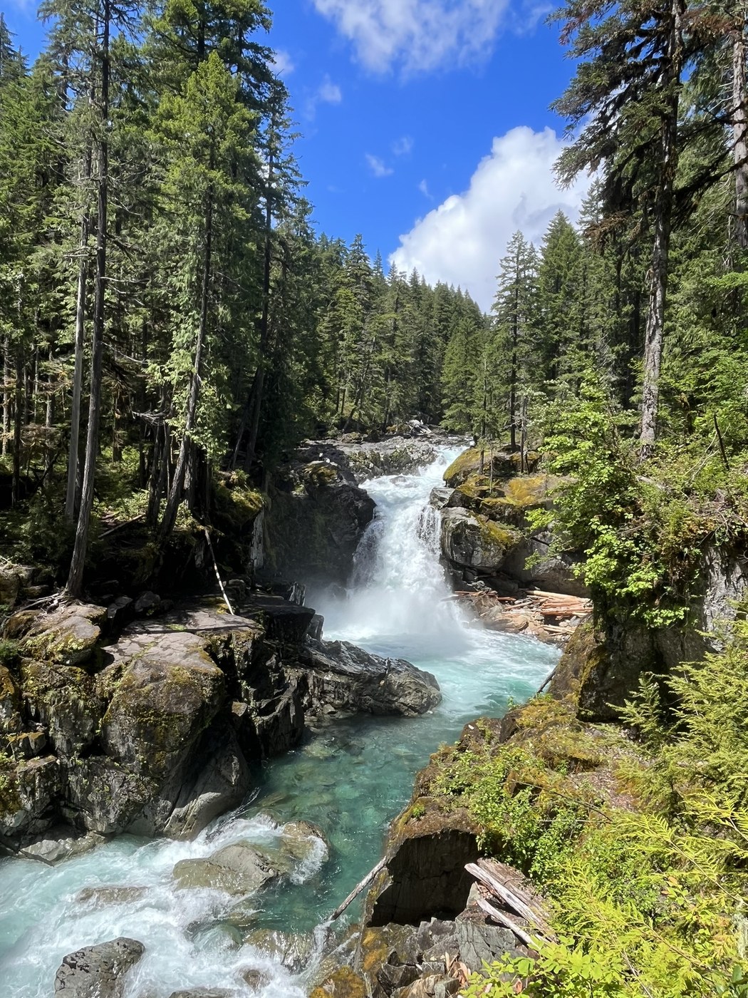 Spring in the Cowlitz valley
